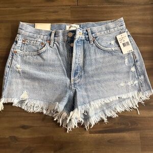 Agolde Parker Shorts